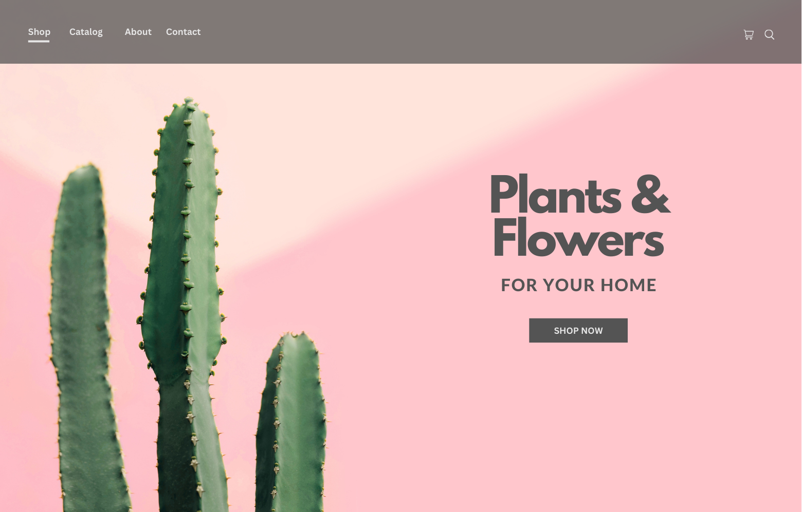 Plant Theme 4