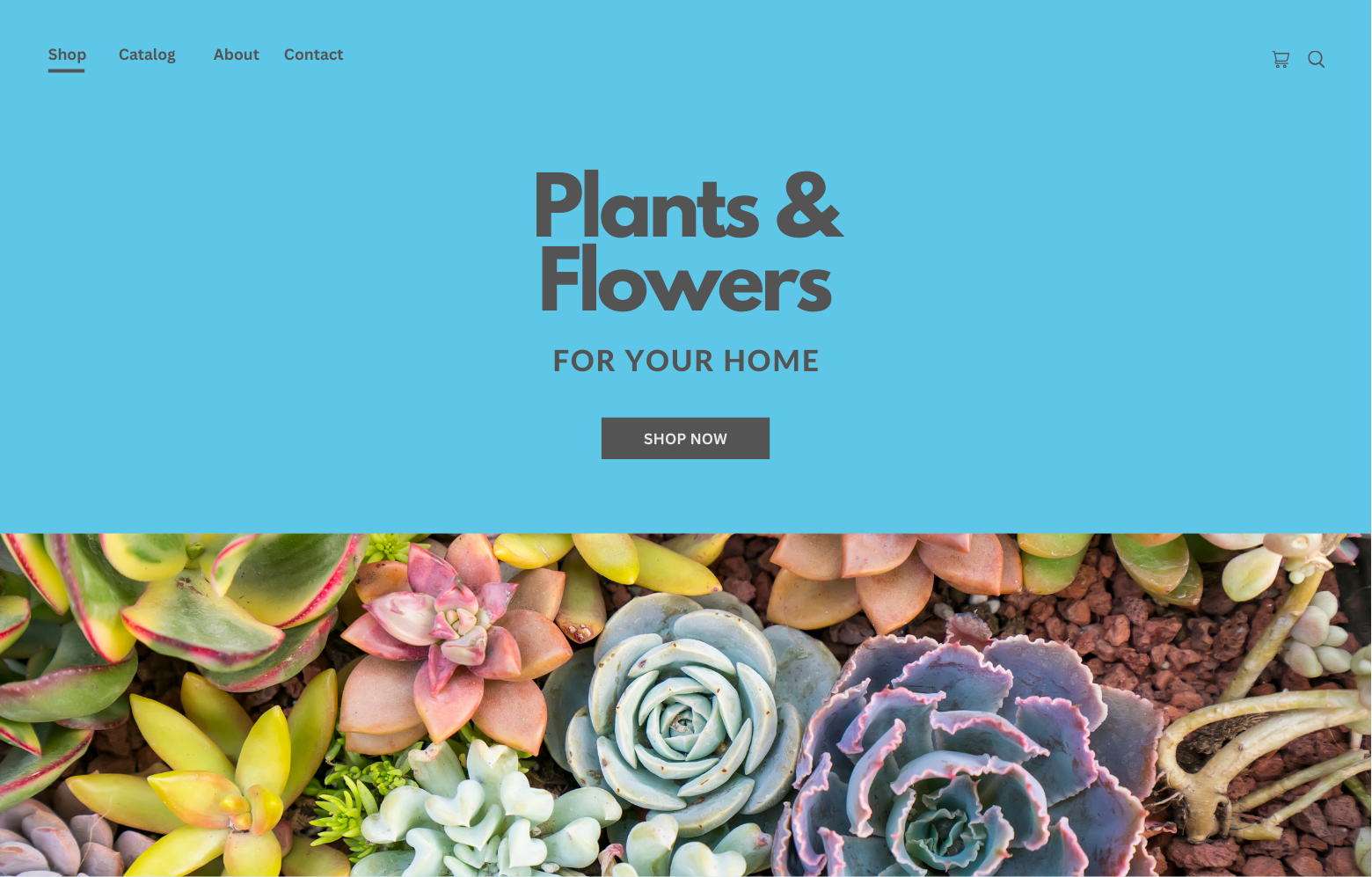 Plant Theme 3